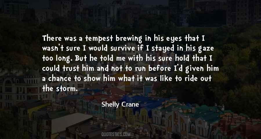 Ride The Storm Quotes #857439