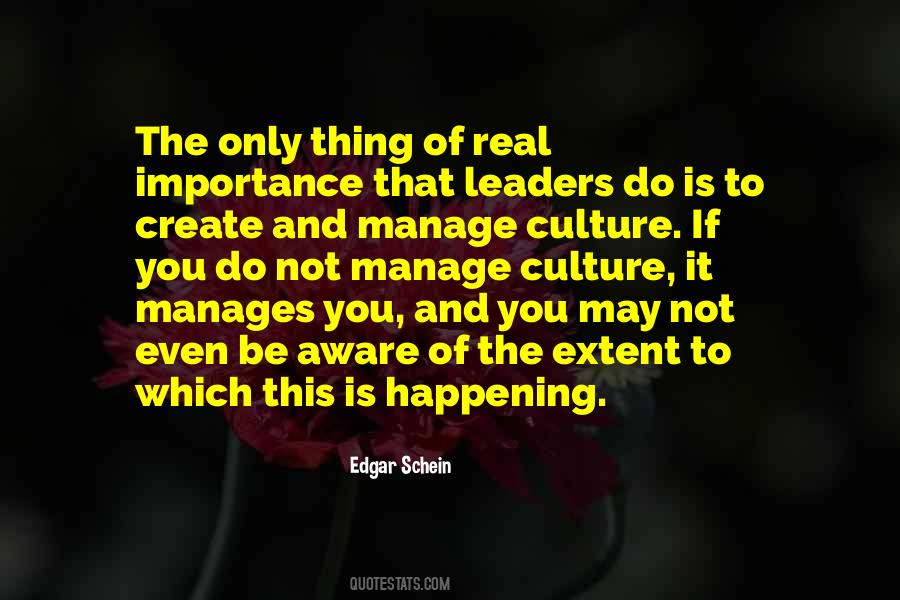 Culture Importance Quotes #1490800