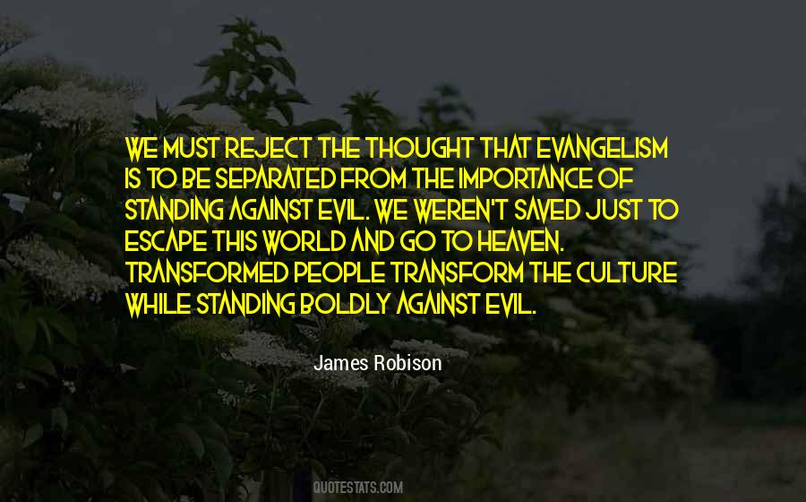 Culture Importance Quotes #1630466