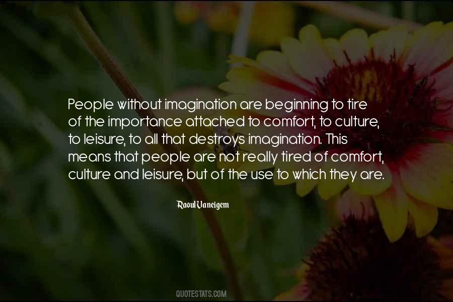 Culture Importance Quotes #495315