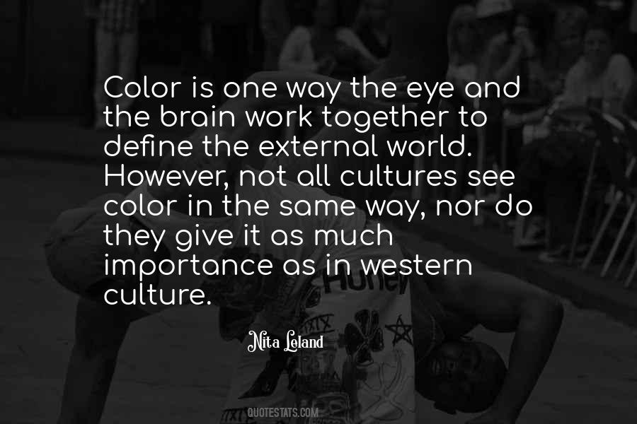 Culture Importance Quotes #585475