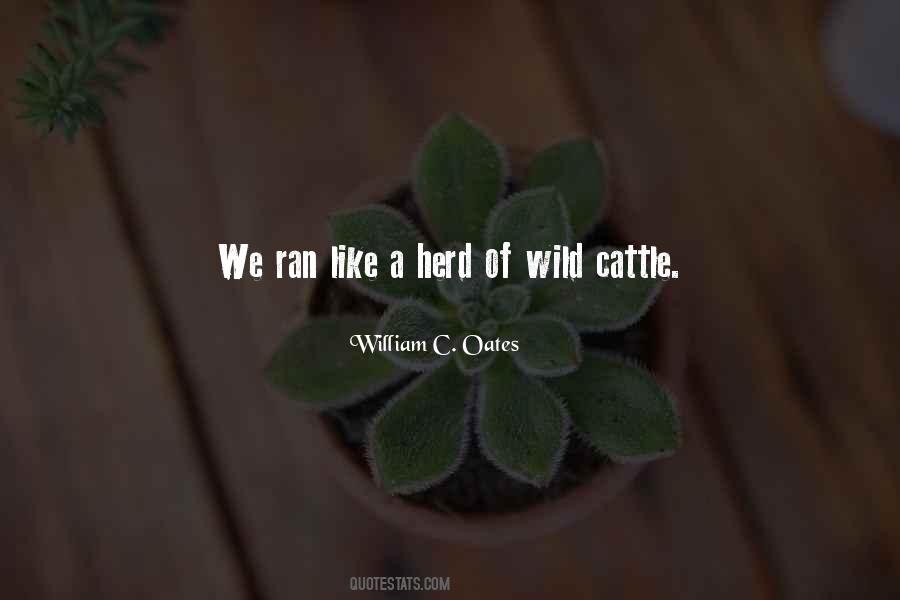 Cattle Herd Quotes #499532