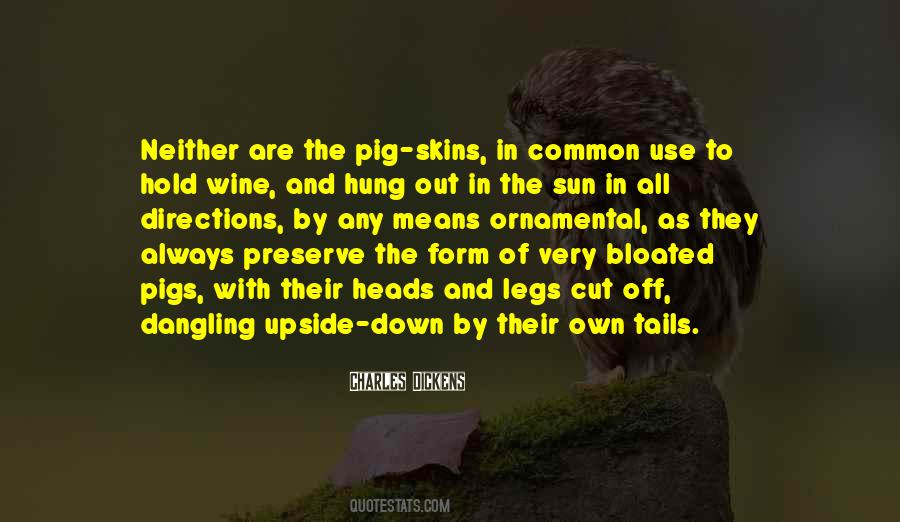 At The Going Down Of The Sun Quotes #109002