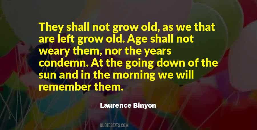 At The Going Down Of The Sun Quotes #1815174