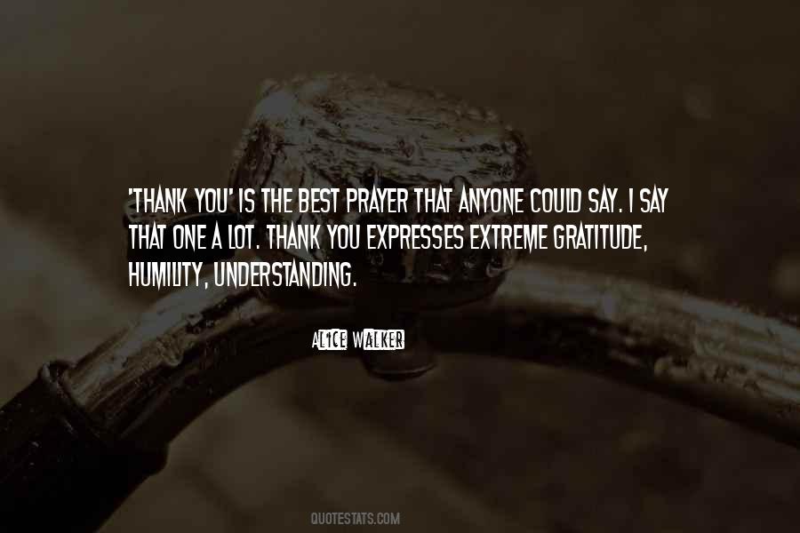 Extreme Gratitude Quotes #1708197