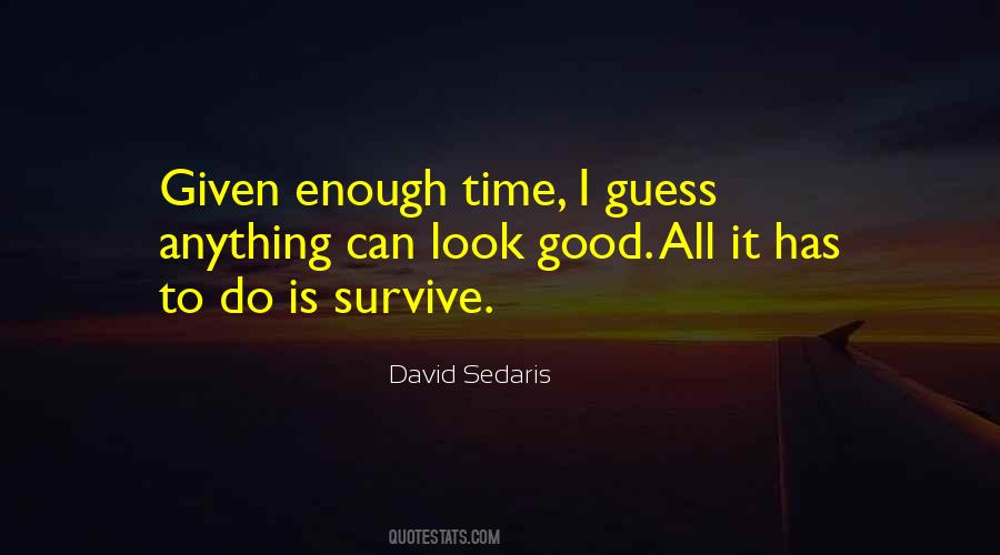 I Can Survive Anything Quotes #1318151