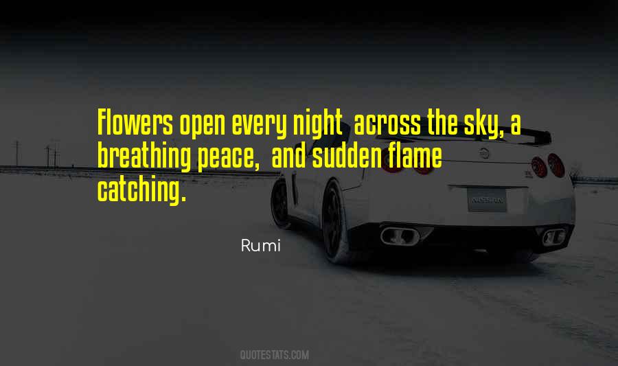 Sky Peace Quotes #314632