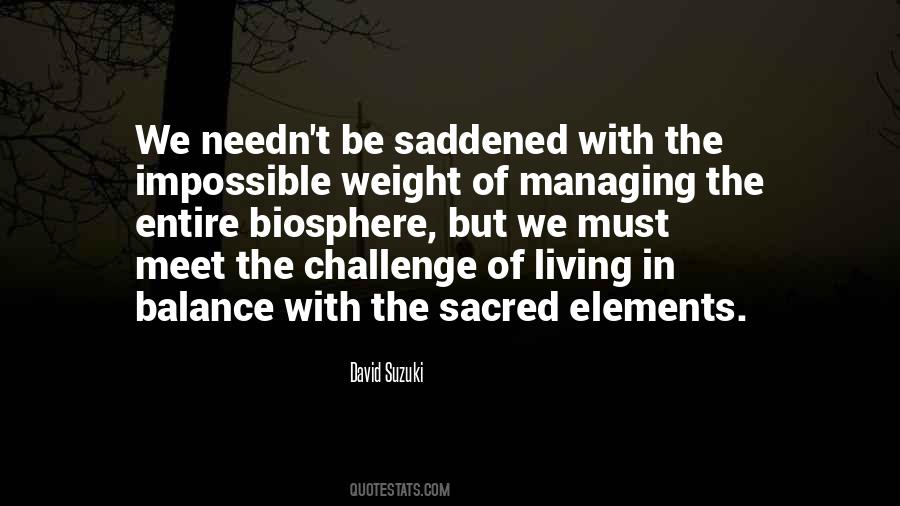 We Must Meet The Challenge Quotes #1550298