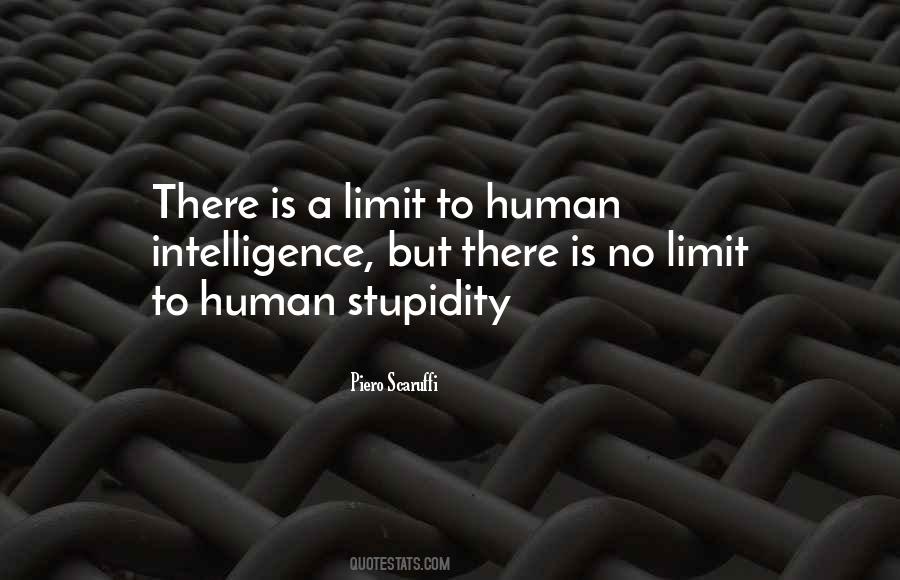 No Limit To Stupidity Quotes #1727383