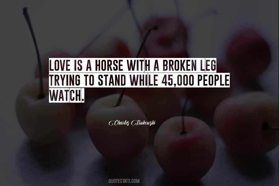 Love A Horse Quotes #1034402