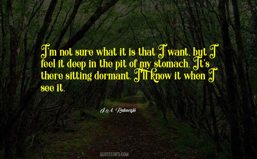 Not Sure What I Want Quotes #1342380