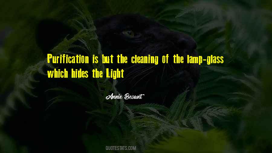 Light From Many Lamps Quotes #1467421