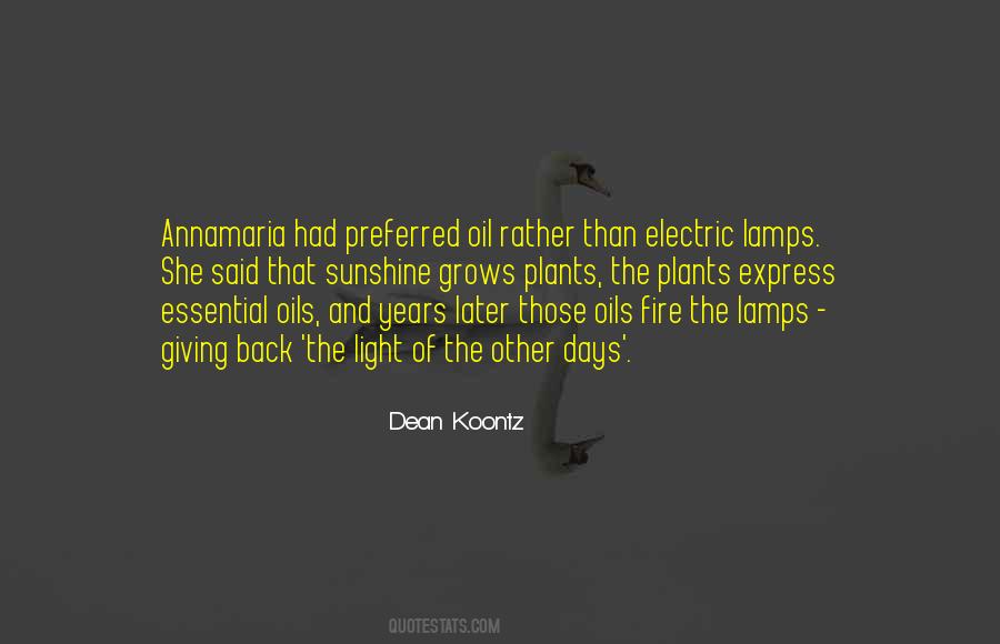 Light From Many Lamps Quotes #362223