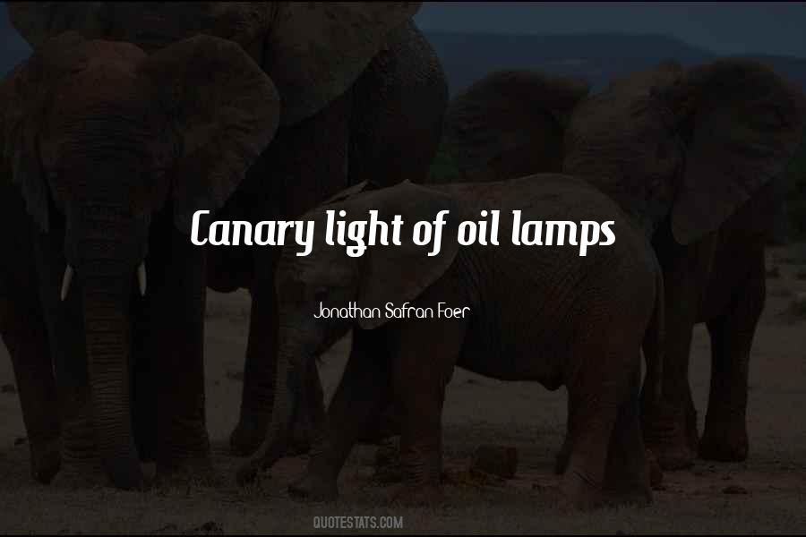 Light From Many Lamps Quotes #422148