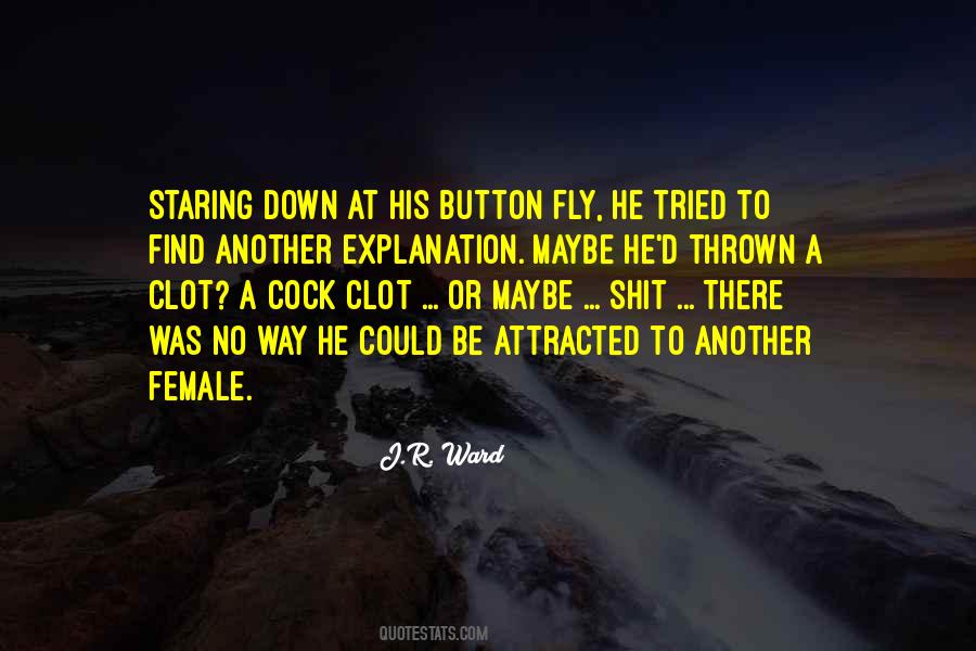 Find A Lover Quotes #78140