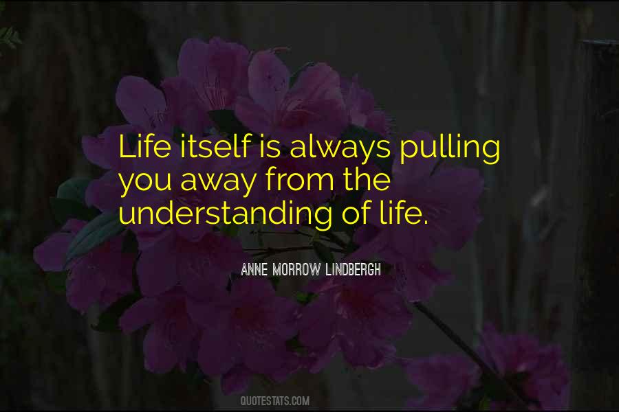 Understanding Of Life Quotes #425321