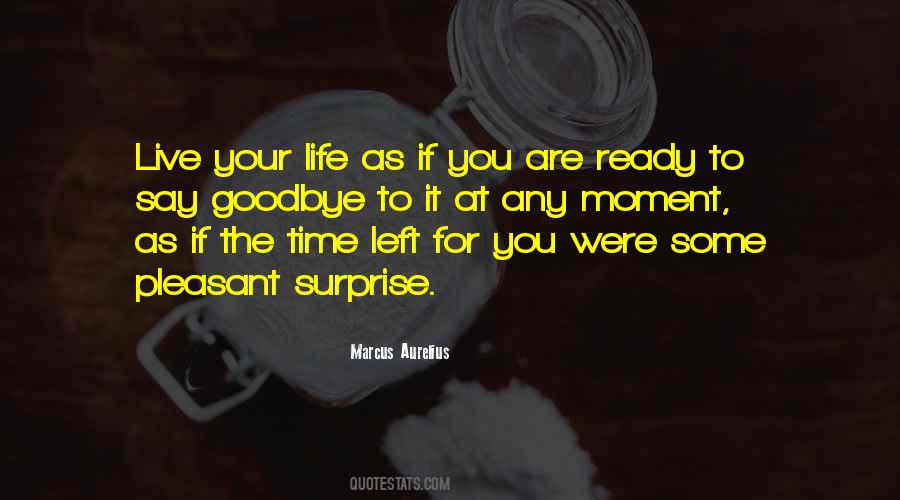 No Time For Goodbye Quotes #109866