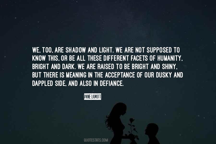 Shadow Of Light Quotes #1606870