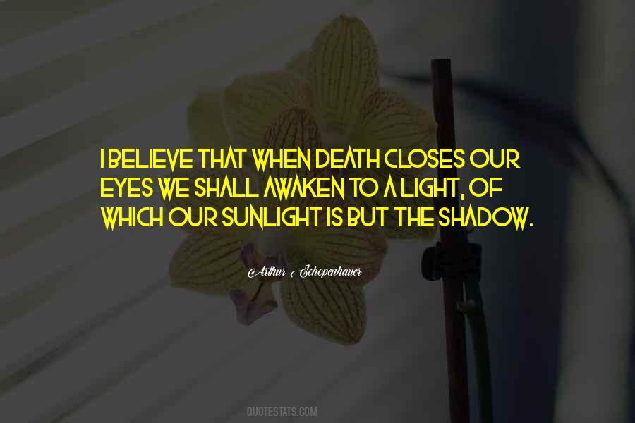 Shadow Of Light Quotes #460691