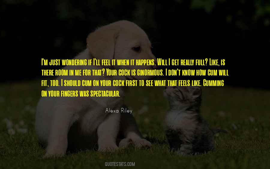 I Know How It Feels Quotes #962112