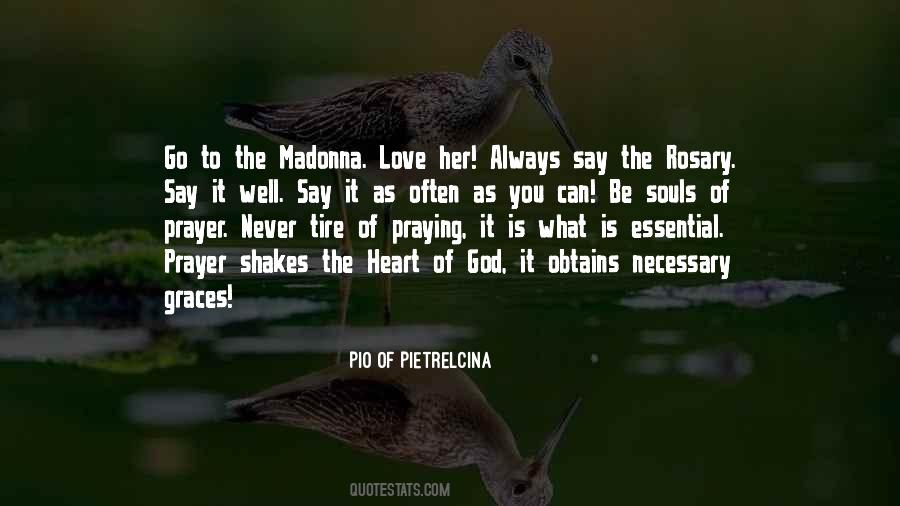 Rosary Prayer Quotes #591024