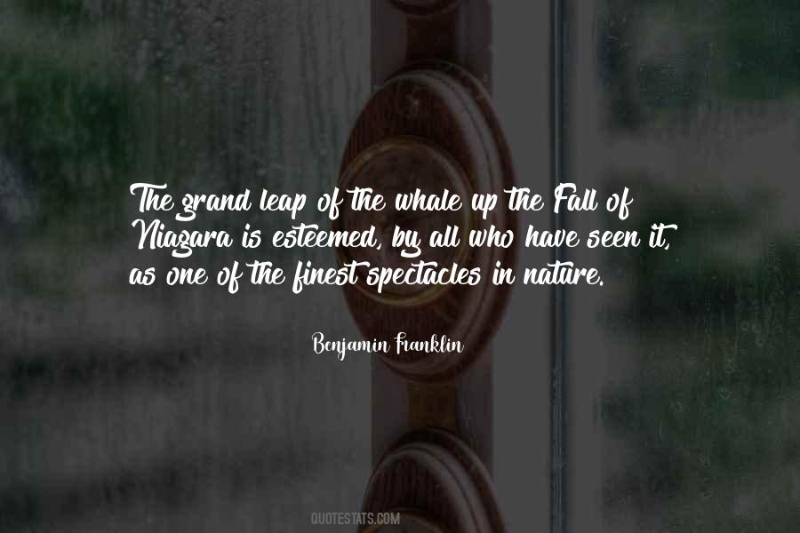 Whale Fall Quotes #306999 Whale Fall Quotes #306999