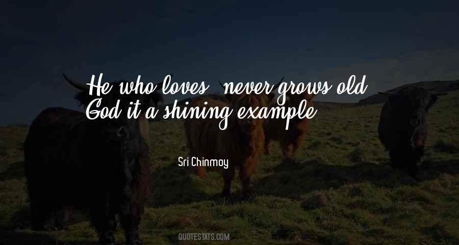 Shining Example Quotes #1011826