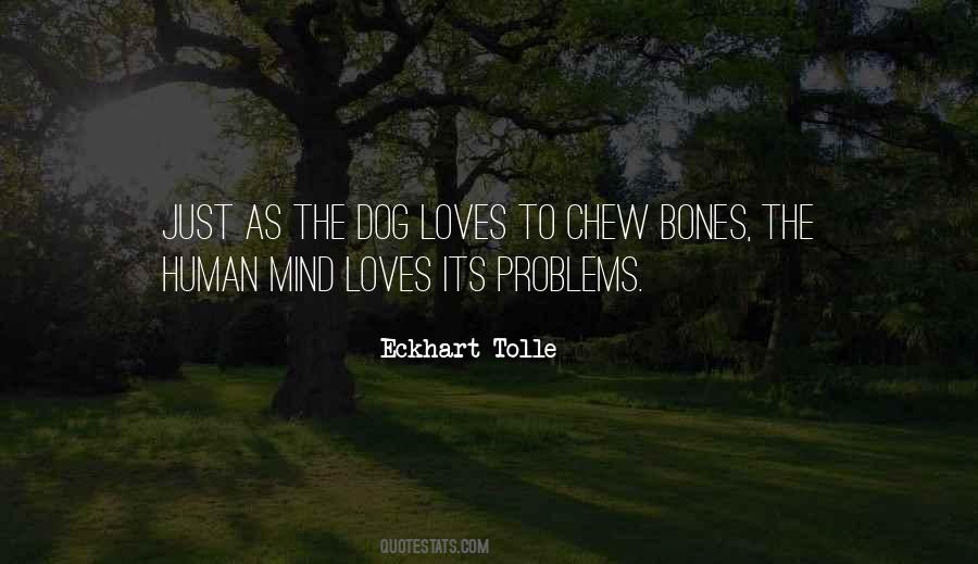 Dog Loves To Chew Bones Quotes #1064318