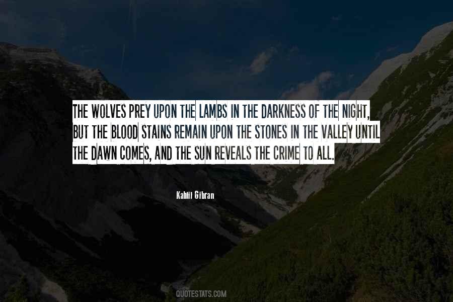 Darkness In The Night Quotes #1007061