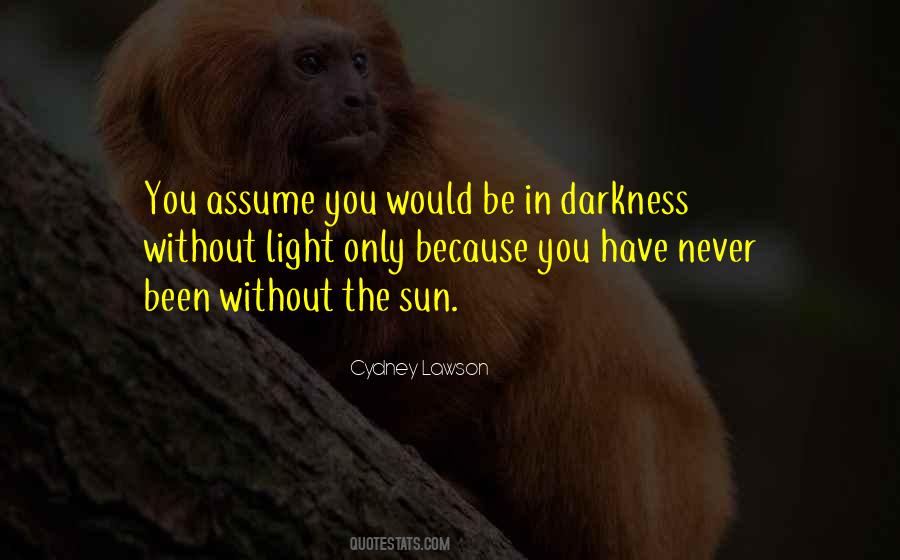 Without Darkness Quotes #610931