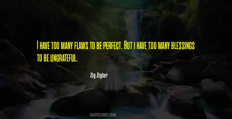 I Have Too Many Flaws To Be Perfect Quotes #1843211