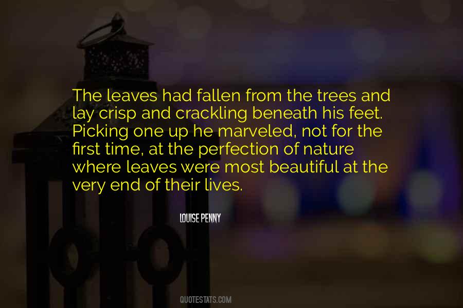 Perfection Of Nature Quotes #842324