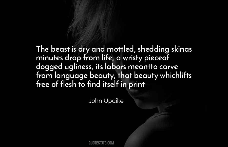 Find The Beauty In Life Quotes #1133530