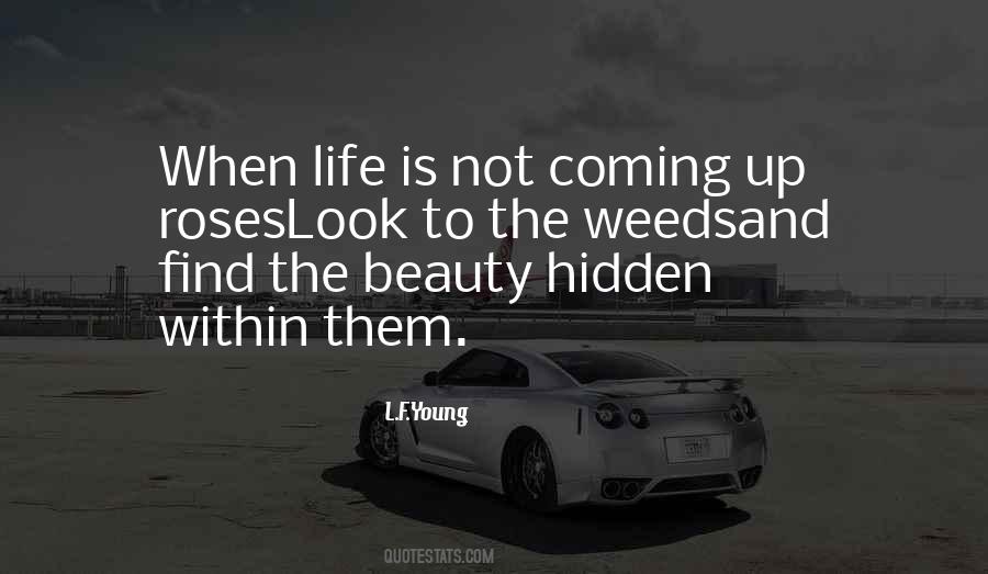 Find The Beauty Quotes #1528023