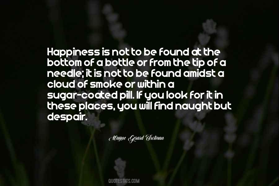 Find The Happiness Quotes #277730