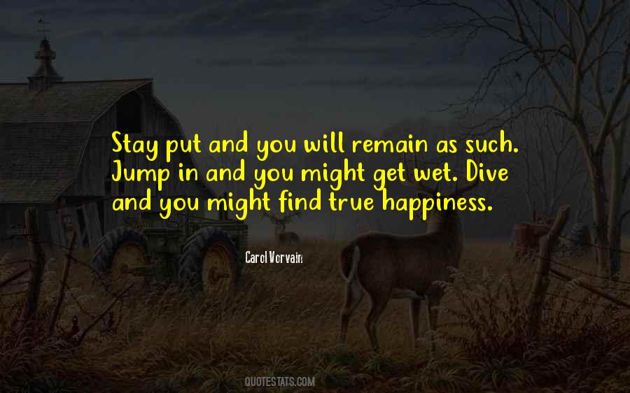 Find True Happiness Quotes #23314