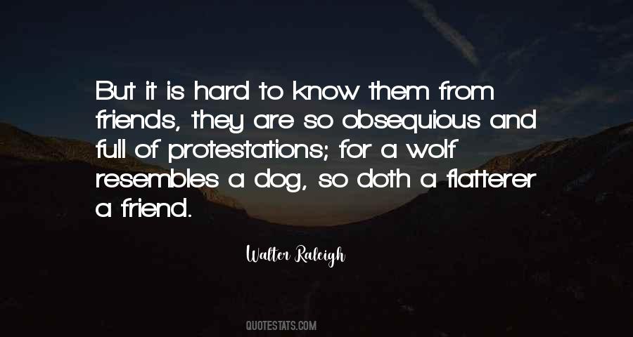 Friend Dog Quotes #1109100