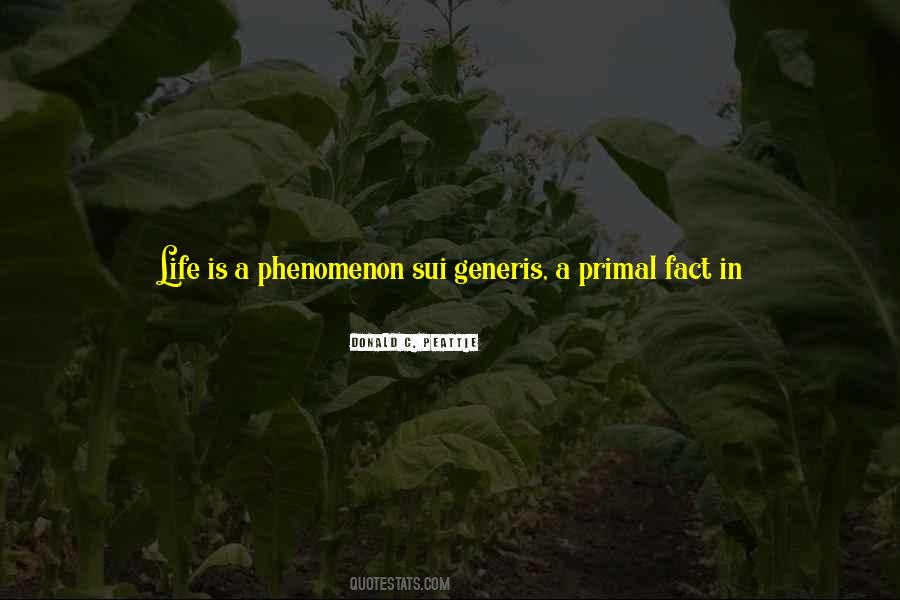 Quotes About A Lifeless Life #1863567