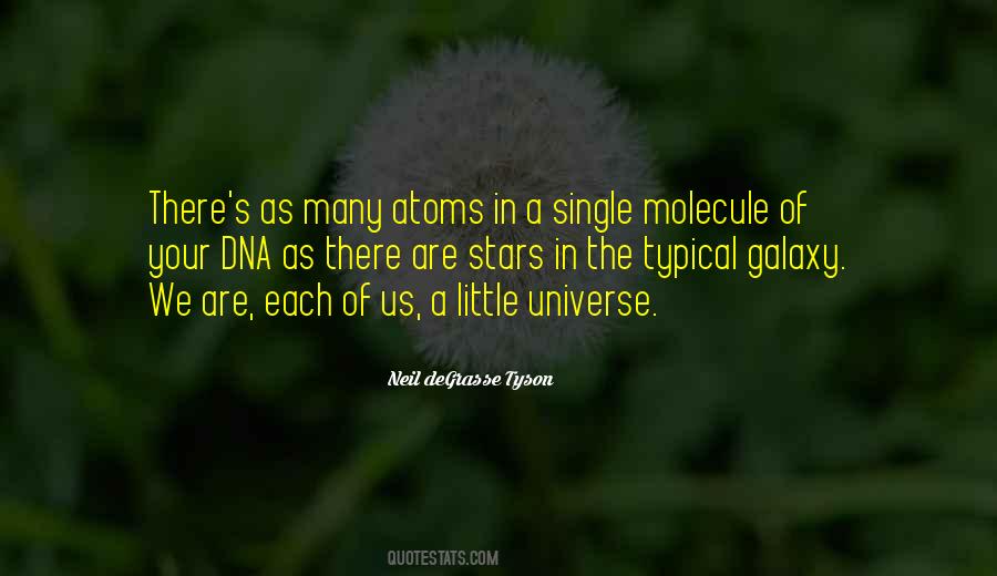 There Are Many Stars Quotes #937512