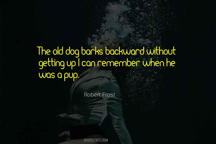 The Dog Barks Quotes #1133120