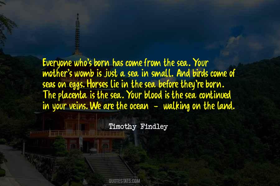 Findley Quotes #1359109