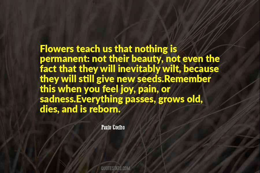 When You Feel Pain Quotes #1483920