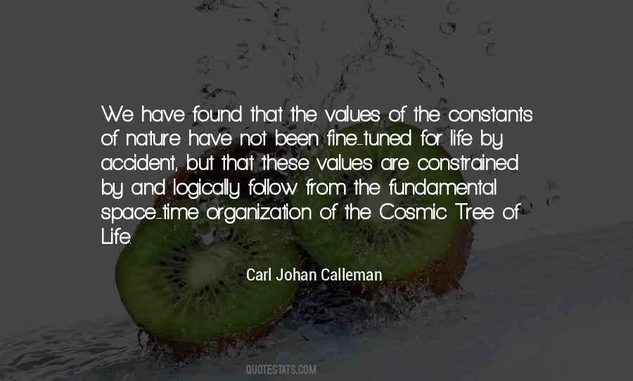 Fine Structure Constant Quotes #215712