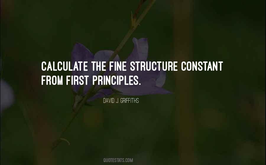 Fine Structure Constant Quotes #583272