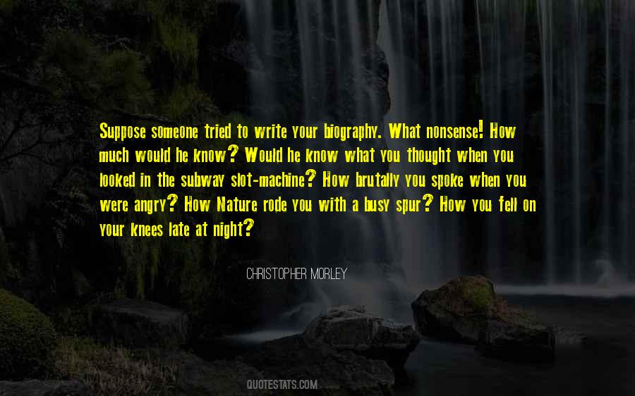 Someone Angry Quotes #600385