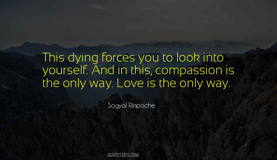 Love Is Dying Quotes #152017