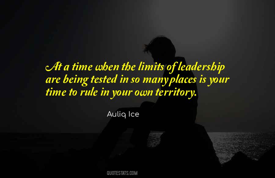 Your Own Limits Quotes #1435992
