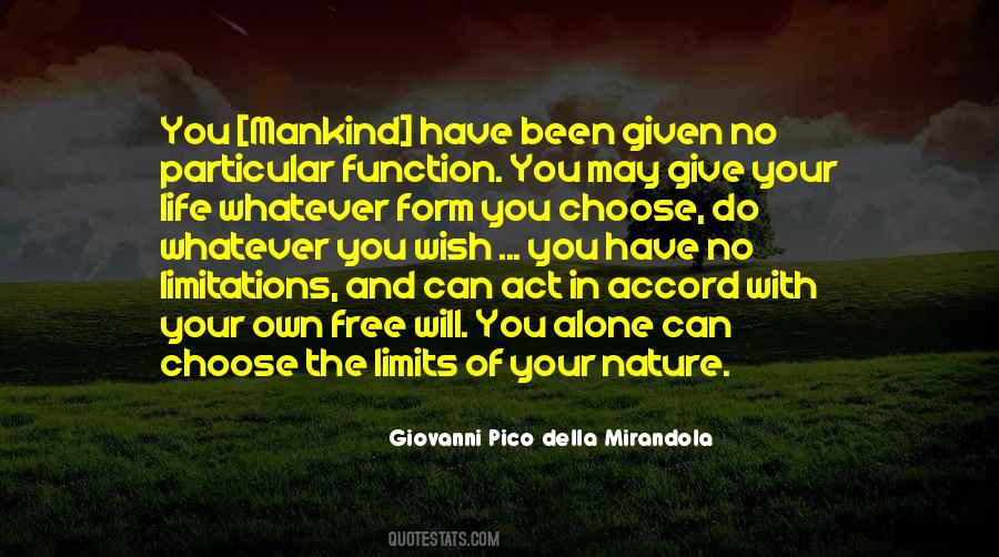 Your Own Limits Quotes #446448