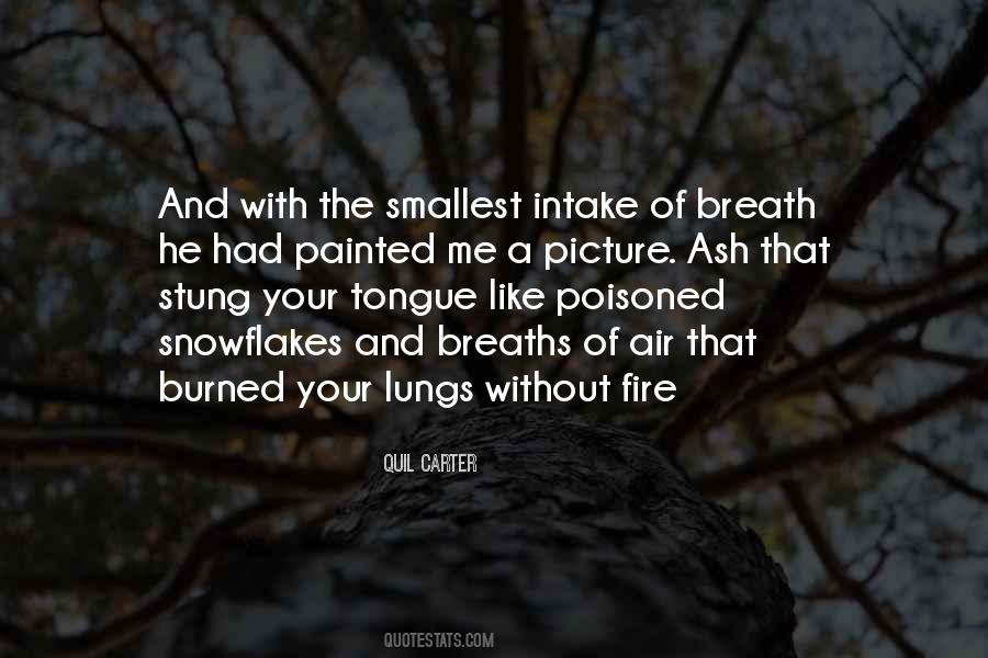 Fire And Ash Quotes #852144