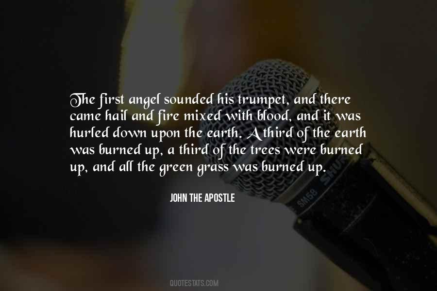 Fire Angel Quotes #1404135